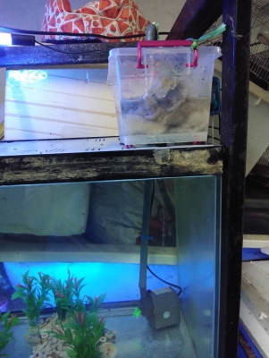 ตู้ปลา 30 นิ้ว 3 ใบ