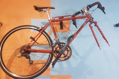 ขายเสือหมอบ araya excella