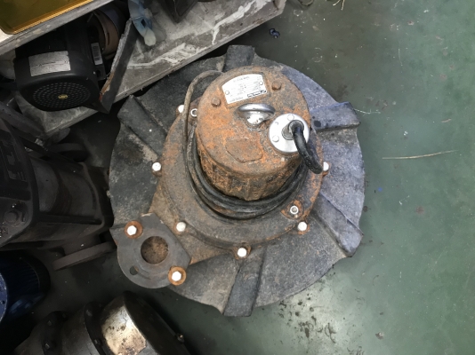 ขายไดโว่แบบเติมอากาศ Tsurumi Pump 3HP. 380V made in Japan สภาพสวยมาก ขนาดท่อ 3นิ้ว หมุนนิ่ม พร้อมใช้งาน ขายไดโว่แบบเติมอากาศ Tsurumi Pump 3HP. 380V made in Japan สภาพสวยมาก ขนาดท่อ 3นิ้ว หมุนนิ่ม พร้อมใช้งาน