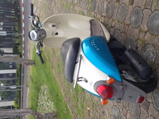 ขาย Honda scoopy 50cc. 4 จังหวะ ขาย Honda scoopy 50cc. 4 จังหวะ