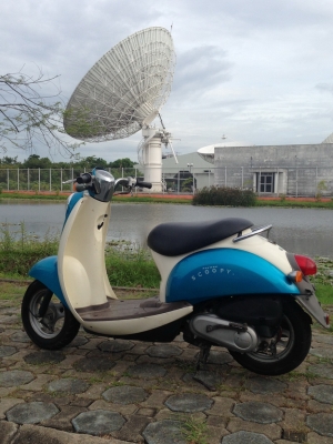 ขาย Honda scoopy 50cc. 4 จังหวะ