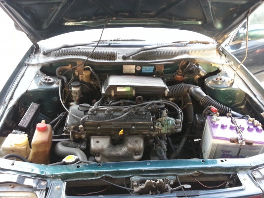 ขาย NVเอาไว้ค้าขาย ขาย NVเอาไว้ค้าขาย