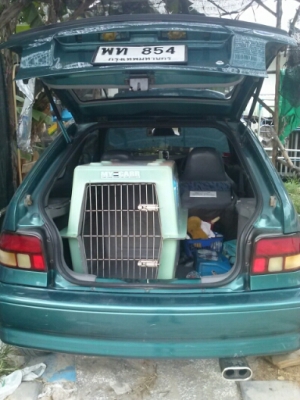 ขาย FORD, ASPIRE 1.3 XL (3Dr) ปี 97 ภายในสวย