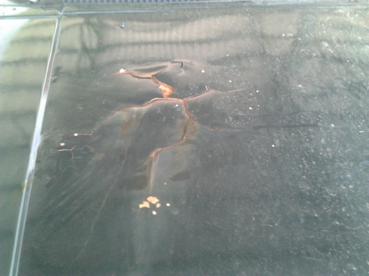 ***ขายแล้วครับขอบคุณ Truck2hand ขาย กระบะตอนเดียว MITSU L200 CYCLONE 2.5ปี38/95 เครื่องเดิม2.5แห้งดีไม่หลวมไม่เยิ้ม ช่วงล่างแน่นคัสซีสวยไม่ผุไม่ดาม ภายในสวยคอนโซลครบพื้นเก๋งไม่ผุ เบาะไม่ขาด หน้า-หลังเดิม สีไม่ค่อยสวย มีแตกมีลอก กระบะพื้นไม่ผุมีผุด้านข้าง(