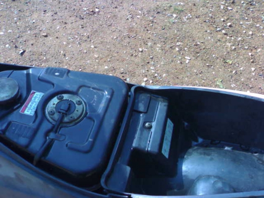 สเตปปี49 ราคาสุดท้าย