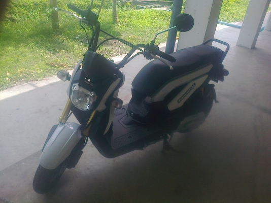 ขายดาวน์honda zoomer-x