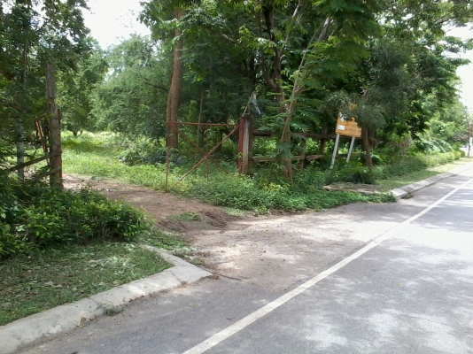 ขายที่ดิน ต.หนองบัว อ.เมือง กาญจนบุรี 23 ไร่ ไร่ละ 700000 บาท ที่ดินใกล้แหล่งท่องเที่ยว ใกล้แม่น้ำ