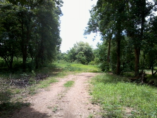 ขายที่ดิน ต.หนองบัว อ.เมือง กาญจนบุรี 23 ไร่ ไร่ละ 700000 บาท ที่ดินใกล้แหล่งท่องเที่ยว ใกล้แม่น้ำ