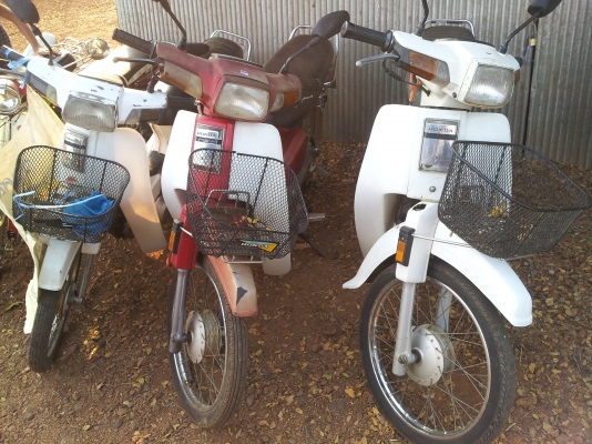 ดรีมตู๊ดเป็ด ทบ.โอน หลายคัน