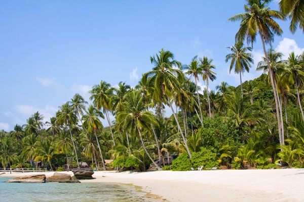ขายที่ดิน นส3  53 ไร่ หาดตะเภา เกาะกูด จ ตราด