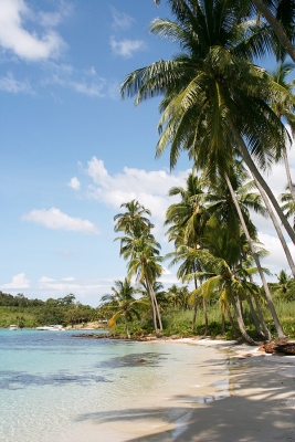 ขายที่ดิน นส3  53 ไร่ หาดตะเภา เกาะกูด จ ตราด