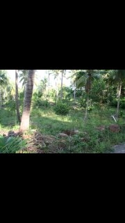 ขายที่ดิน นส3  53 ไร่ หาดตะเภา เกาะกูด จ ตราด