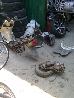 ขายซากป็อป ถูกถูก