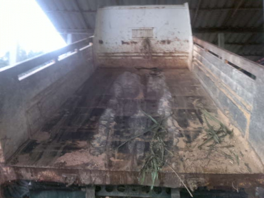 รถอิซูซุ 6 ล้อดั๊ม NQR 150 แรงม้า ปี 51  สนใจติดต่อ 081 - 6079515