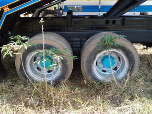 ขาย 10ล้อ2เพลาดั๊ม HINO KT920 เครื่อง6BF1 185แรง(ใบคุม) เครื่องดีฟิตใหม่ ไม่เยิ้ม ช่วงล่าง2เพลาRocky คัสซีดี เก็บงานแล้ว สีบิวด์ใหม่ทั้งคัน สวย หัวบาง ภายในครบ แอร์มีระบบ เบรคทริฟฟี่ สโลว์อินเตอร์3สปีด ยางดี10เส้น สภาพจบๆไม่ต้องทำไรเพิ่ม พร้อมใช้ พร้อมลุย