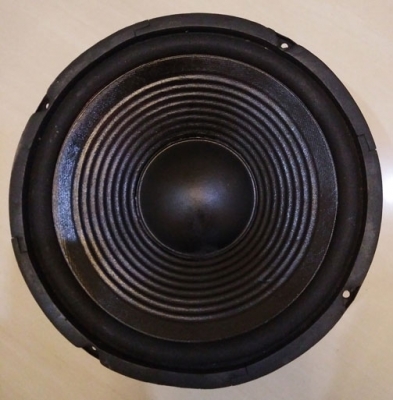 ดอกลำโพง 10 นิ้ว