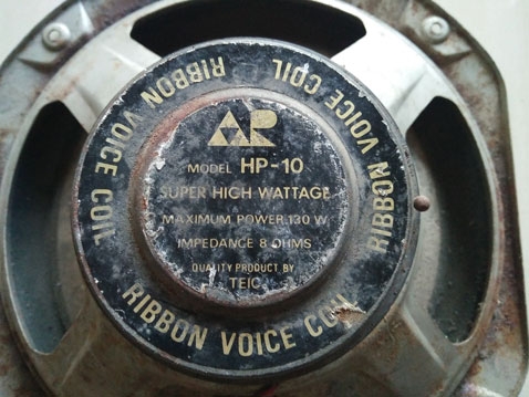 ดอกลำโพง 10 นิ้ว