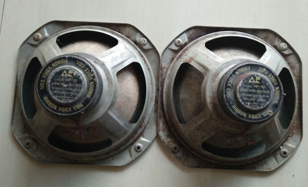 ดอกลำโพง 10 นิ้ว