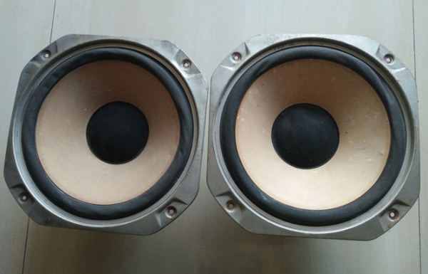 ดอกลำโพง 10 นิ้ว