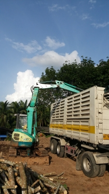 รถคีบไม้ รถคีบไม้