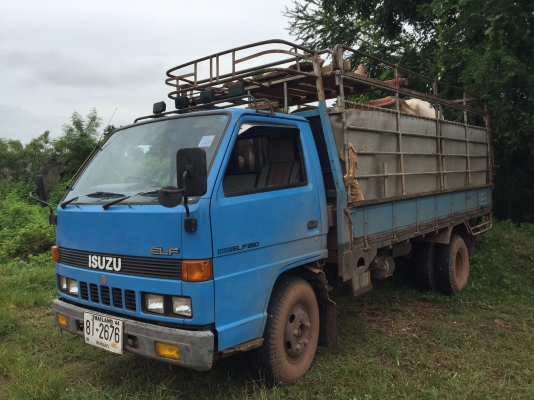 Isuzu TLD 85แรง วางหัวNKR หัวยกได้ เบ่มพร้อมโอน Isuzu TLD 85แรง วางหัวNKR หัวยกได้ เบ่มพร้อมโอน