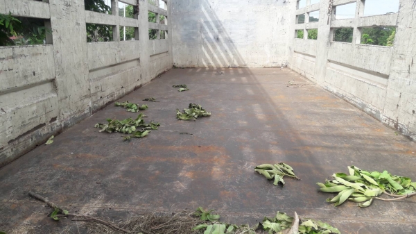 ขายกะบะไม่ดั้ม ใส่ได้ทั้ง 6ล้อและ 10ล้อ ยาว7.20ม. กว้าง2.50ม. สูง2.40ม.