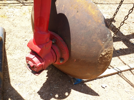 ผานยกร่อง ใบ 24 เต็ม สวยๆ ผานยกร่อง ใบ 24 เต็ม สวยๆ