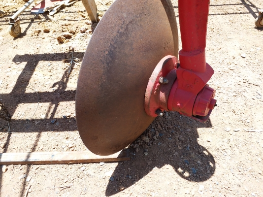 ผานยกร่อง ใบ 24 เต็ม สวยๆ ผานยกร่อง ใบ 24 เต็ม สวยๆ