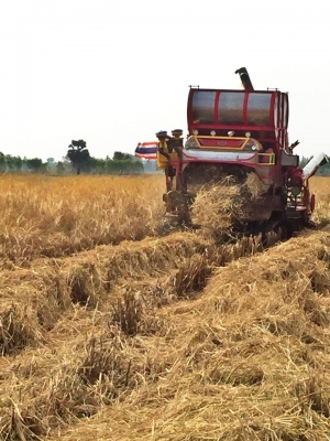 ขายรถเกี่ยวข้าว 390000 พร้อมใช้งาน
