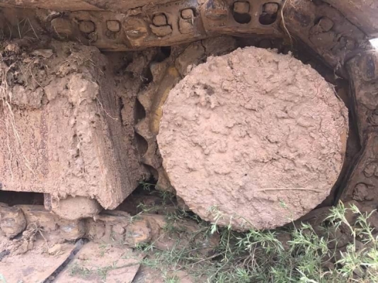 ขายแล้ว