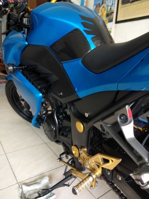 คาวาซากิ Z 250 ปี2013
