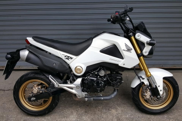 ขออนุญาตขาย HONDA MSX 125 ไมล์น้อย 5,XXX KM ฟรีค่าโอน ขออนุญาตขาย HONDA MSX 125 ไมล์น้อย 5,XXX KM ฟรีค่าโอน