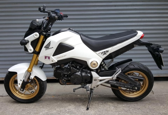 ขออนุญาตขาย HONDA MSX 125 ไมล์น้อย 5,XXX KM ฟรีค่าโอน ขออนุญาตขาย HONDA MSX 125 ไมล์น้อย 5,XXX KM ฟรีค่าโอน