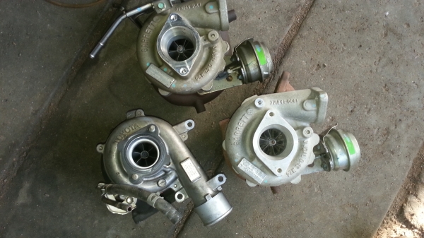 ขาย เทอร์โบนาวาร่า ลูกละ14,000