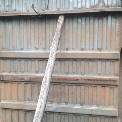 กระบะสแตนเลสมือสอง big M มือสอง