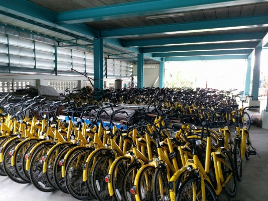 ขายรถจักรยานยี่ปุ่น รถใหม่แบบยางล้อตัน มี 8000 ตัน ราคาคันละ 2200 ขายรถจักรยานยี่ปุ่น รถใหม่แบบยางล้อตัน มี 8000 ตัน ราคาคันละ 2200