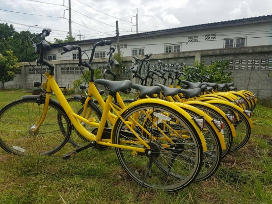 ขายรถจักรยานยี่ปุ่น รถใหม่แบบยางล้อตัน มี 8000 ตัน ราคาคันละ 2200