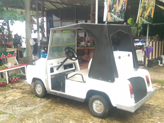 ขายรถกอล์ฟไฟฟ้า