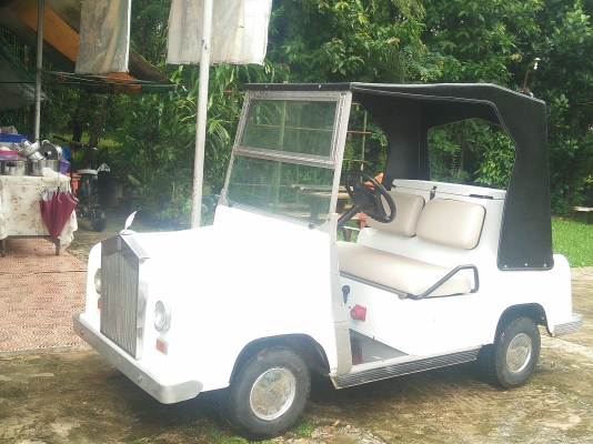 ขายรถกอล์ฟไฟฟ้า