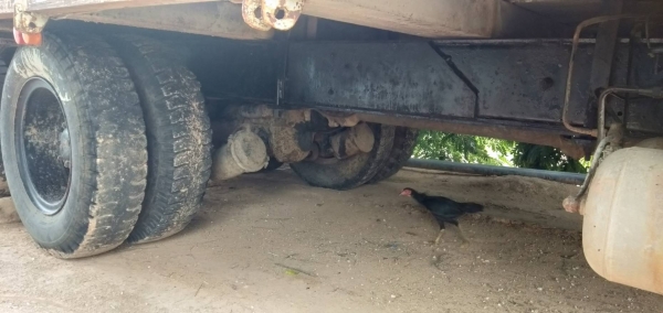 10 ล้อ 2 เพลา เครื่อง 230 เบรคทิฟฟี่แห้ง ครัชลม พวงมาลัยเพาเวอ 10 ล้อ 2 เพลา เครื่อง 230 เบรคทิฟฟี่แห้ง ครัชลม พวงมาลัยเพาเวอ