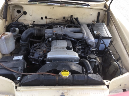 ขายรถเบ้นหางปลา