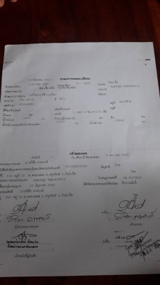 คัชชีหางคอก