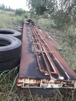 คัชชีหางคอก