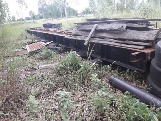 คัชชีหางคอก