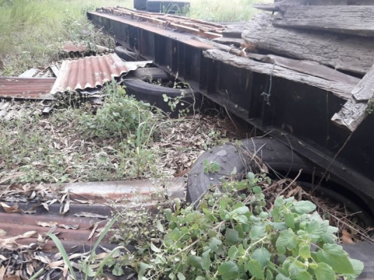 คัชชีหางคอก