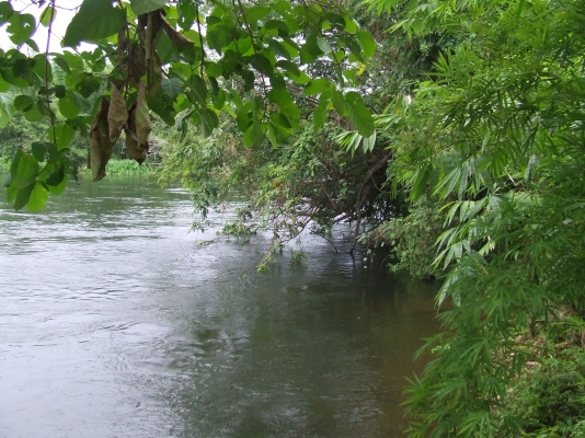 ขายที่ดินติดชายนํ้า  9  ไร่อยู่กาญจนบุรี.ใกล้ตัวตลาด