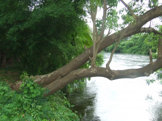 ขายที่ดินติดชายนํ้า  9  ไร่อยู่กาญจนบุรี.ใกล้ตัวตลาด