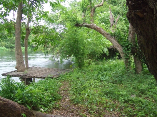 ขายที่ดินติดชายนํ้า  9  ไร่อยู่กาญจนบุรี.ใกล้ตัวตลาด