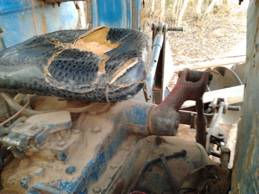 ***ขายแล้วครับขอบคุณ Truck2hand ขาย ขาย รถไถFORD 6600 T5 ตัวเต็ม 1เพลา สภาพดี แขนสวยไม่มีปะ ระบบไฮฯไม่เยิ้ม ทำงานดี มีโหลดนิดๆ พร้อมอุปกรณ์ 2 ชิ้น ใบดัน ผาน3 หรือ ผาน 5 เอกสารเล่มทะเบียน พร้อมใช้พร้อมลุยงาน ราคาต่อรองได้ครับ