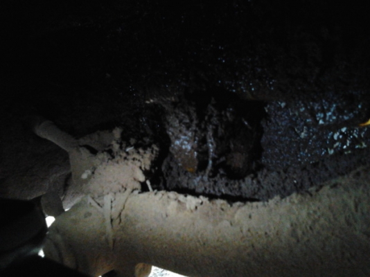 ***ขายแล้วครับขอบคุณ Truck2hand ขาย ขาย รถไถFORD 6600 T5 ตัวเต็ม 1เพลา สภาพดี แขนสวยไม่มีปะ ระบบไฮฯไม่เยิ้ม ทำงานดี มีโหลดนิดๆ พร้อมอุปกรณ์ 2 ชิ้น ใบดัน ผาน3 หรือ ผาน 5 เอกสารเล่มทะเบียน พร้อมใช้พร้อมลุยงาน ราคาต่อรองได้ครับ